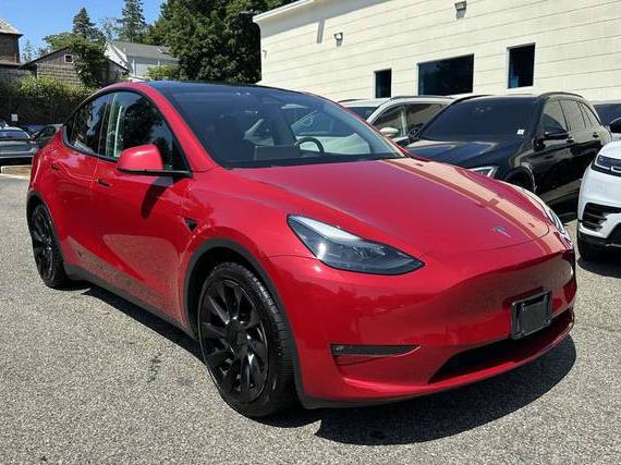 TESLA MODEL Y 2023 7SAYGAEE8PF801220 image